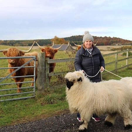 Glampods Glamping Pod - Meet Highland Cows And Sheep Elgin Villa Exterior foto