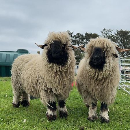 Glampods Glamping Pod - Meet Highland Cows And Sheep Elgin Villa Exterior foto