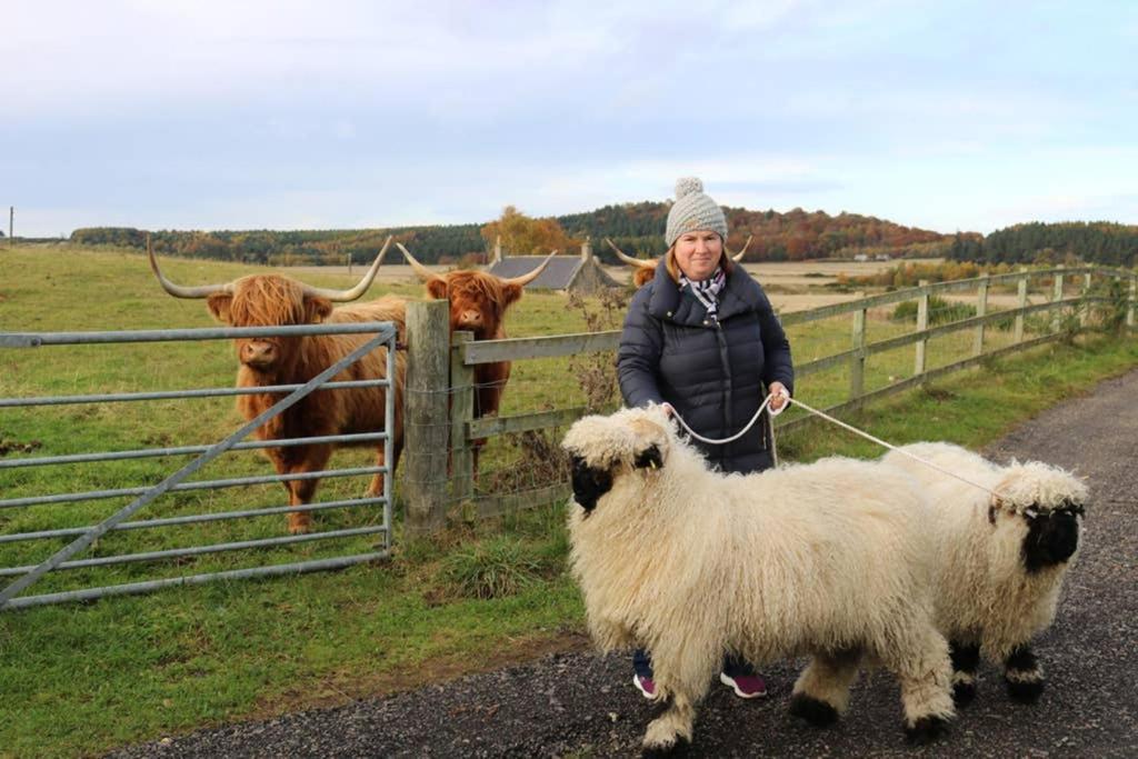 Glampods Glamping Pod - Meet Highland Cows And Sheep Elgin Villa Exterior foto