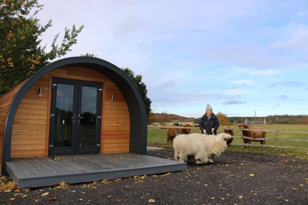 Glampods Glamping Pod - Meet Highland Cows And Sheep Elgin Villa Exterior foto