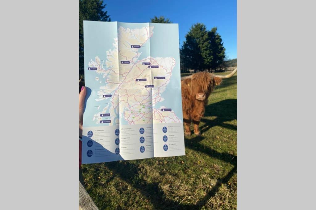 Glampods Glamping Pod - Meet Highland Cows And Sheep Elgin Villa Exterior foto