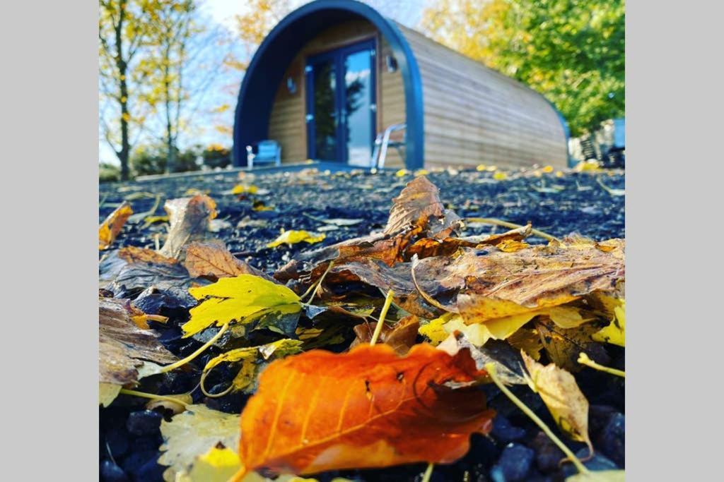 Glampods Glamping Pod - Meet Highland Cows And Sheep Elgin Villa Exterior foto